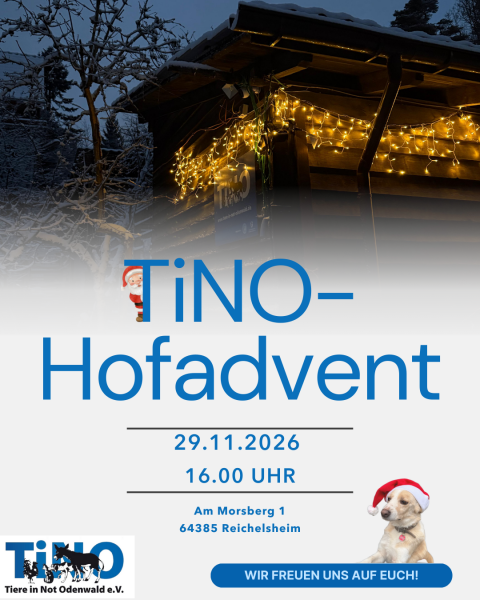 TiNO-Hofadvent 2026